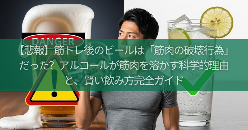 【悲報】筋トレ後のビールは「筋肉の破壊行為」だった？アルコールが筋肉を溶かす科学的理由と、賢い飲み方完全ガイド